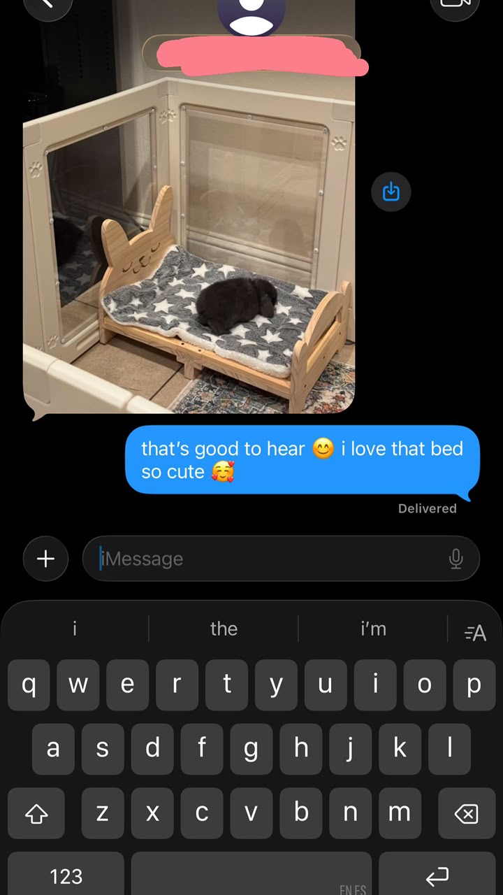 Photograph from a buyer of a black Holland Lop rabbit resting on a small wooden pet bed inside an indoor playpen.